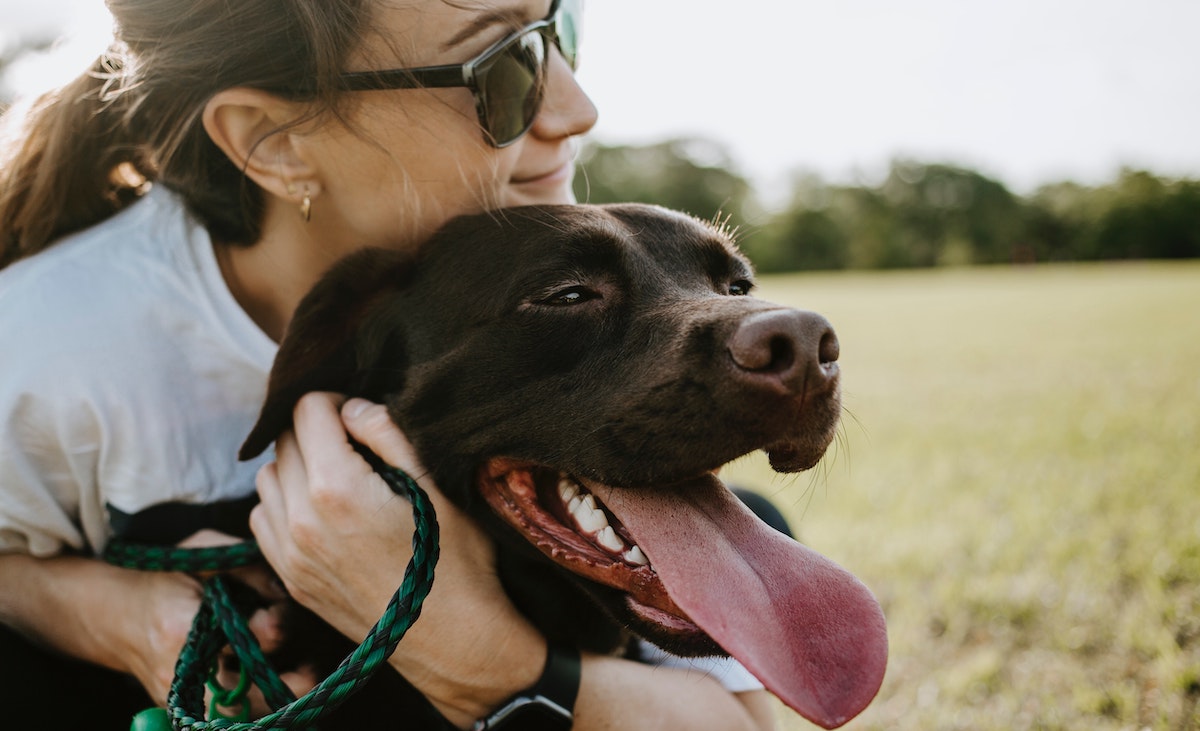 July 31st is National Mutt Day! 