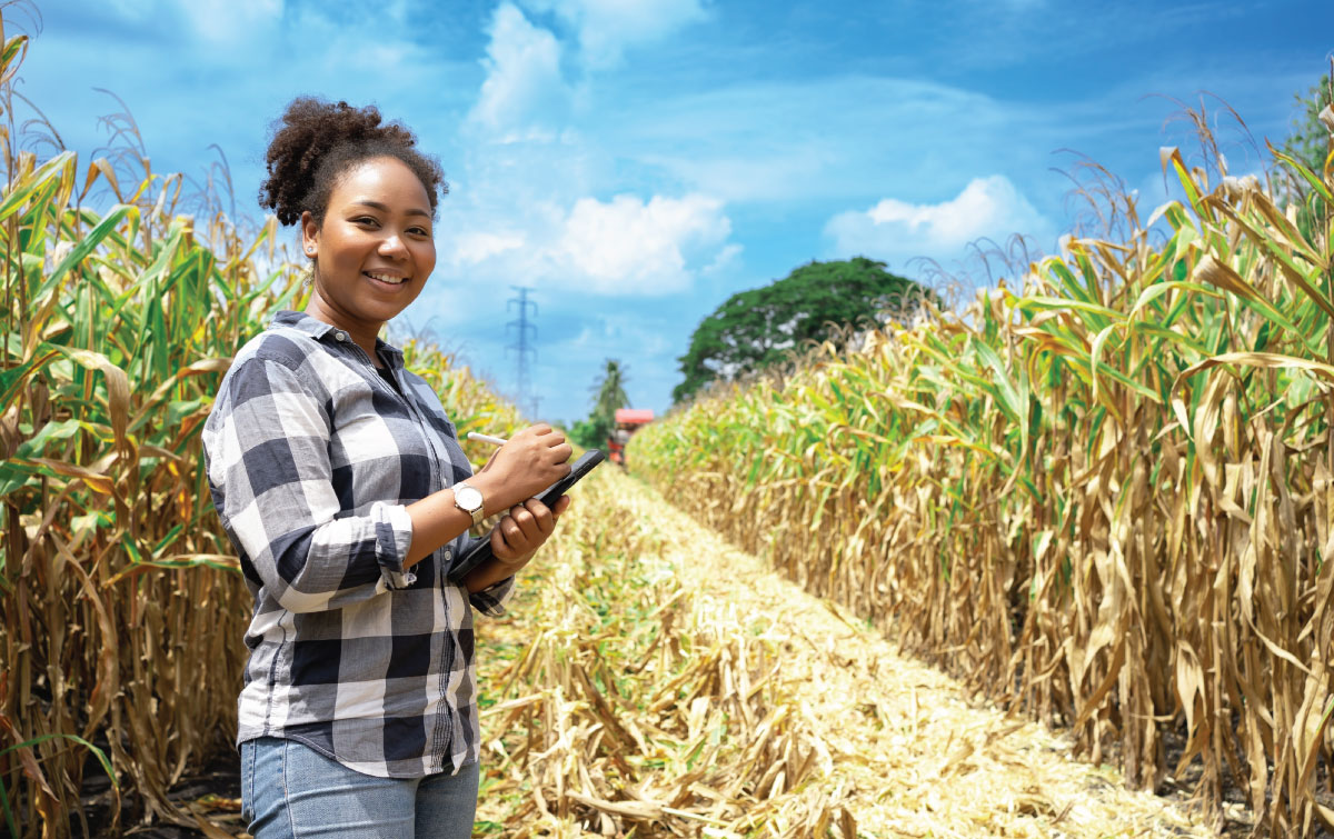 3 Things to Learn from a Summer Job 